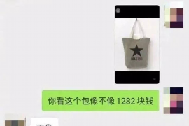 绿园如何避免债务纠纷？专业追讨公司教您应对之策